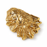 Oyster Bottle Opener