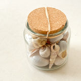 Shell Jar