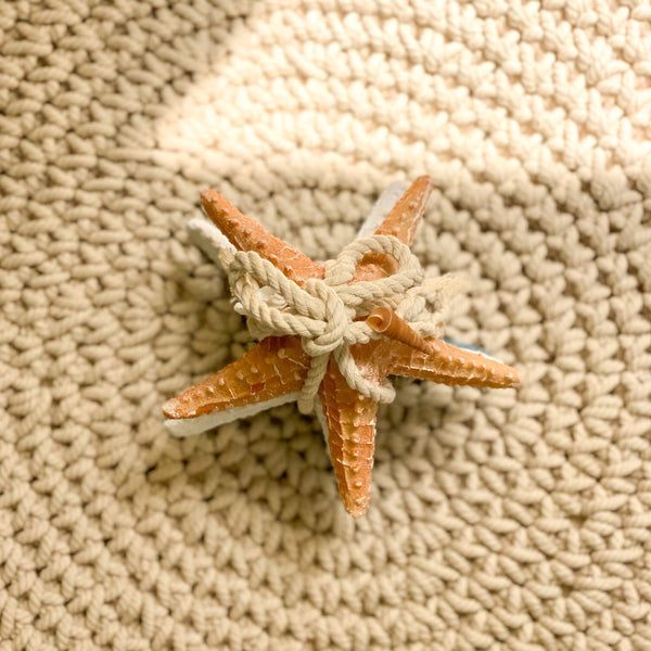 Starfish - Set of 3