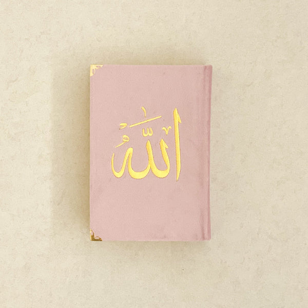 Quran - Pink with Gold Embroidery