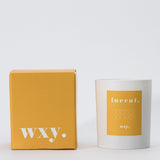 Lucent Grapefruit & Cedar Candle